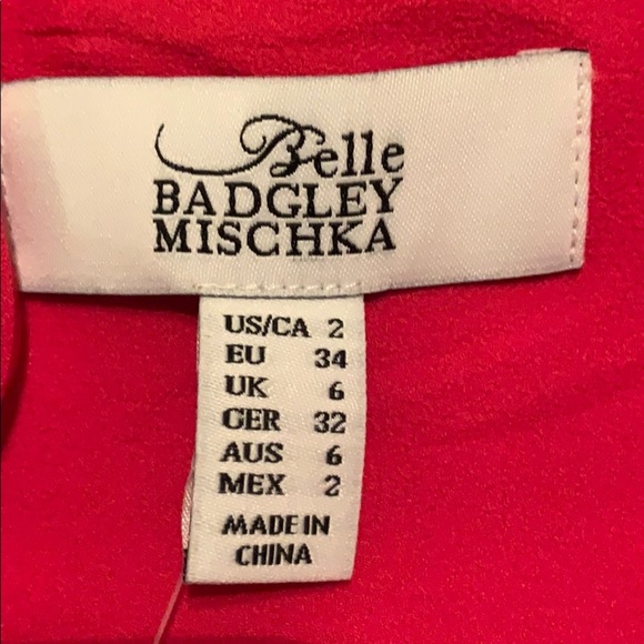 14. Belle Badgley Mischka Francine Dress - Picture 13 of 16